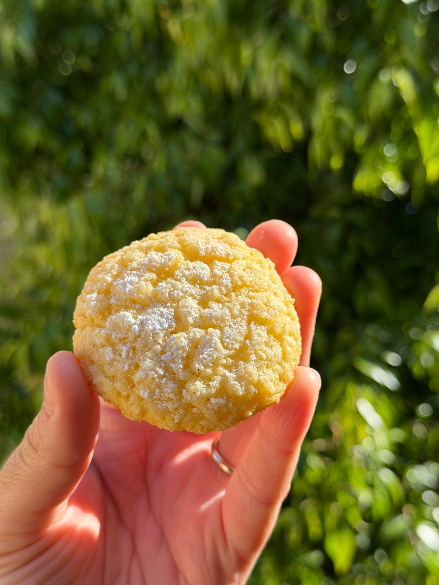 Coconut & Vanilla Ghriba