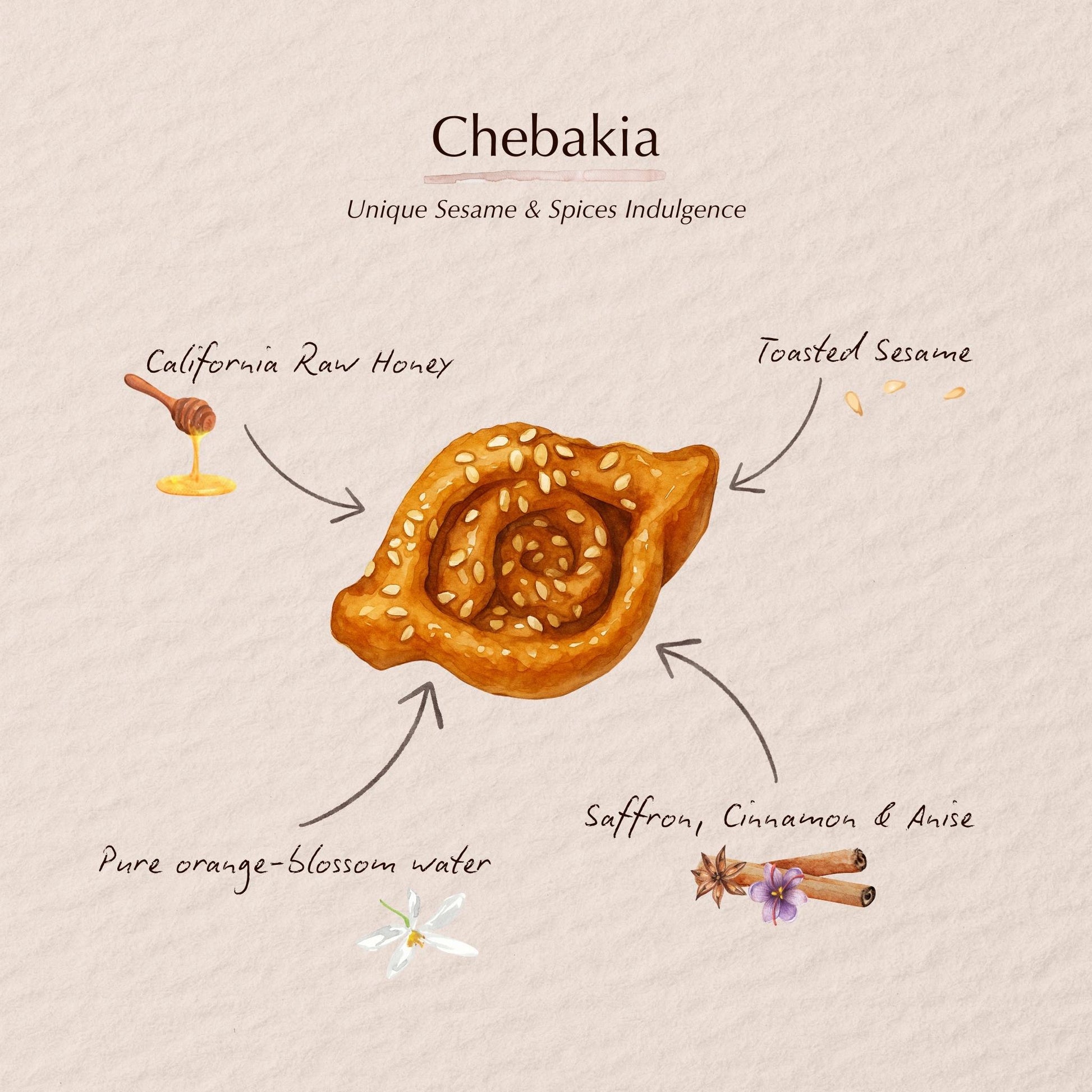Watercolor illustration of a Chebakia Moroccan pastry flavor profile. Lawza Bakery - Bay Area, California.