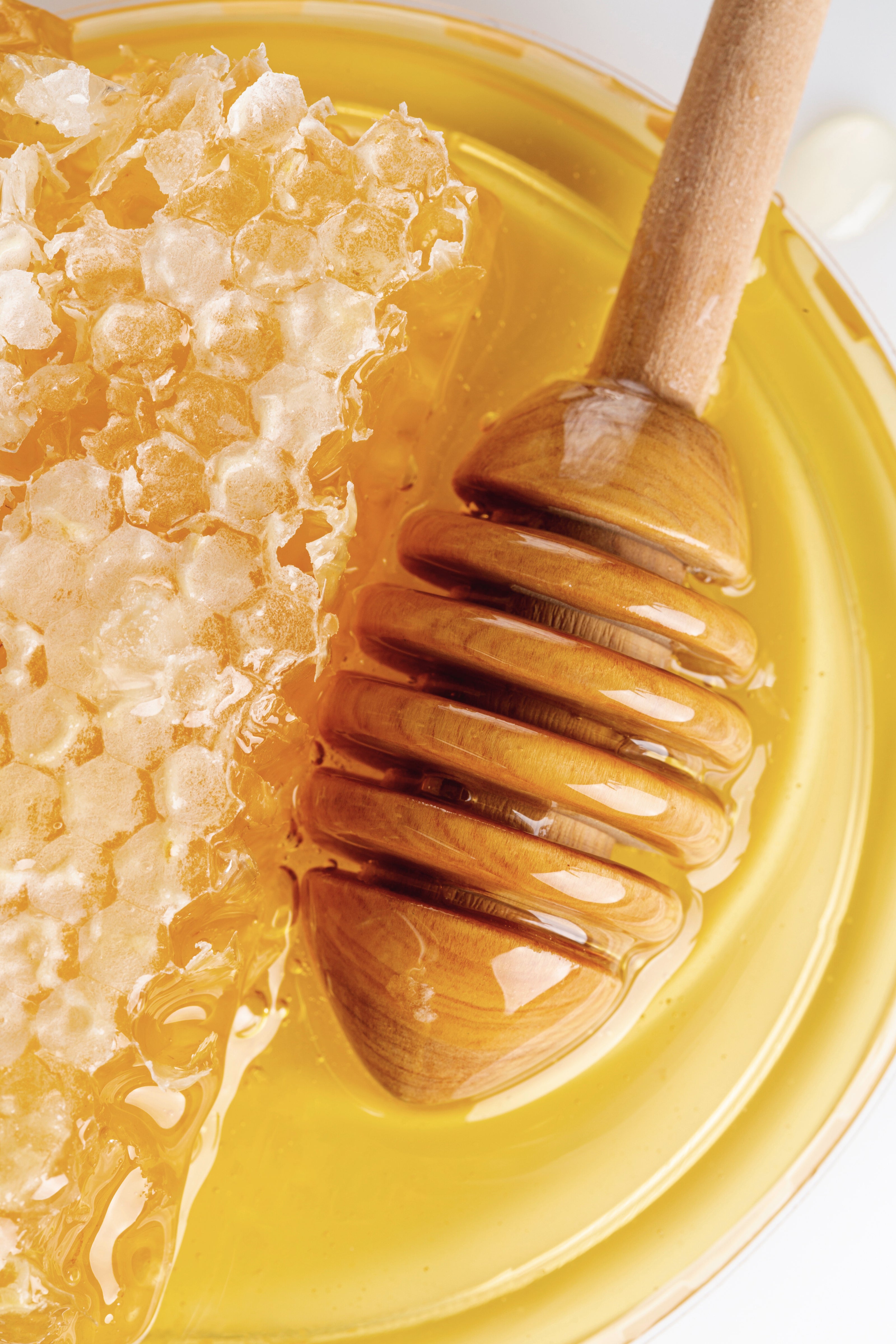 Wooden honey dipper in a pool of honey with honeycomb. Lawza Moroccan Bakery Bay Area.